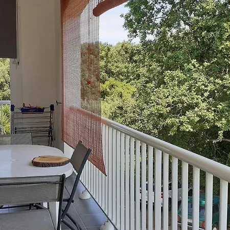 Bel Situe Dans La Plaine Orientale Apartment Taglio-Isolaccio
